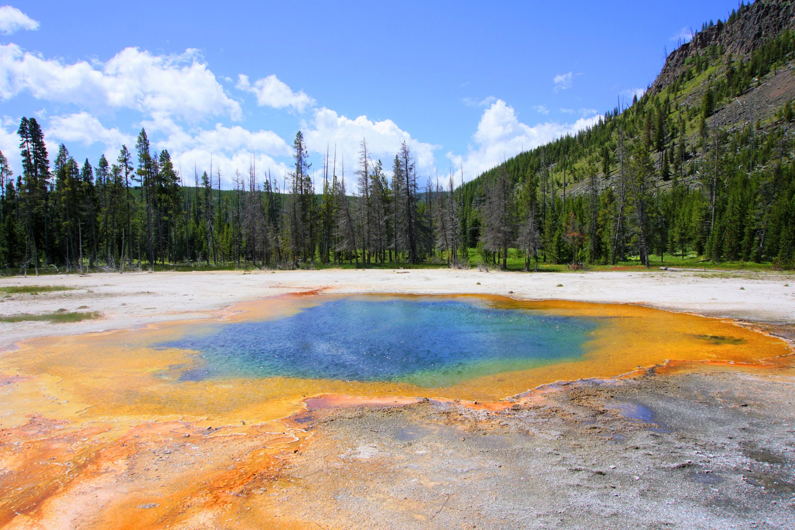 Yellowstone National  Park  the most famous national parks  